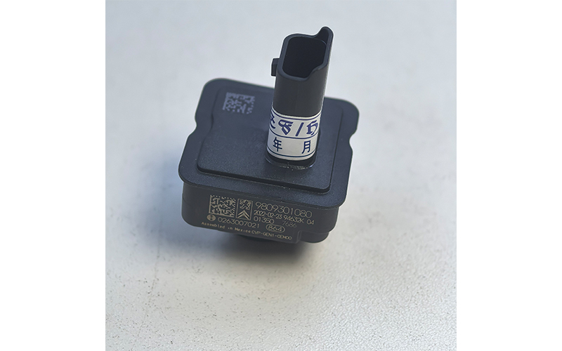 9809301080 Oem Panoramic Vision Camera for Peugeot & Citroën Vehicles