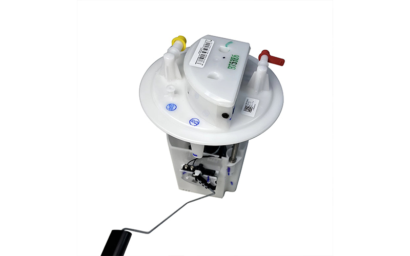 9805932480 Premium Fuel Pump Module Assembly for Peugeot Citroën Ds Models