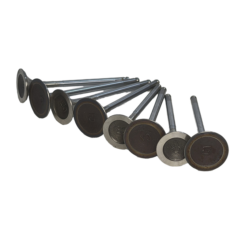 Ew12 2.3l Engine High Quality Intake Exhaust Set 0948g3 0949f8 for Peugeot 508 Citroën C5