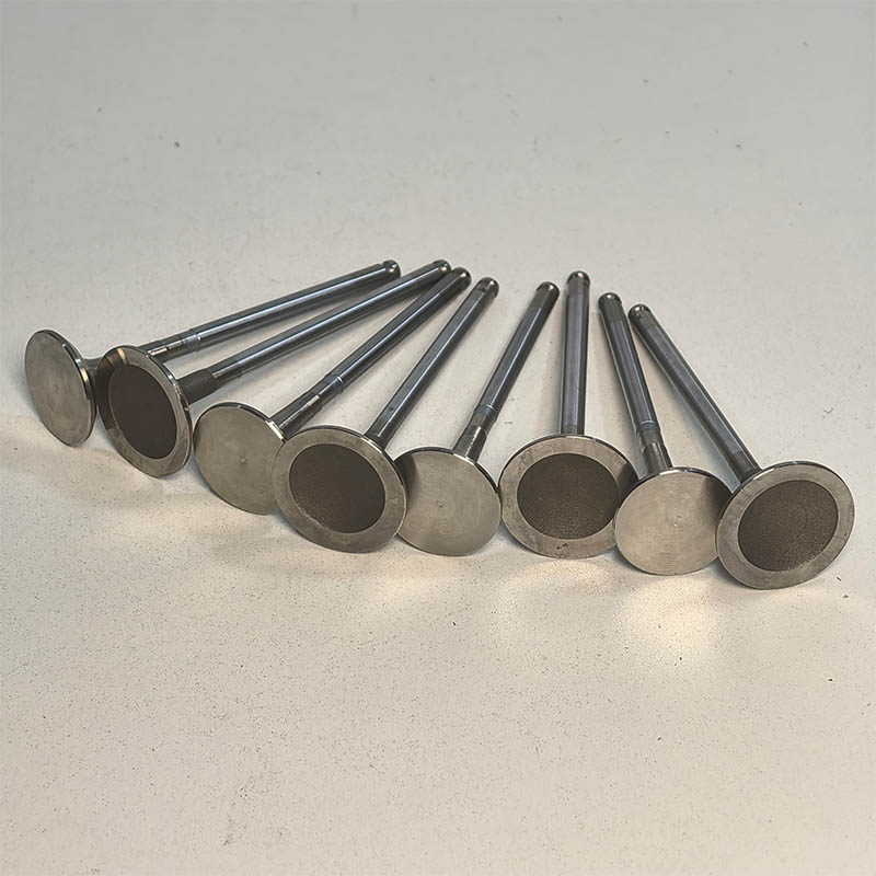 2.0l Ew10 Engine Valves High Quality Intake (094899)  Exhaust (094999) Set for Peugeot Citroën 