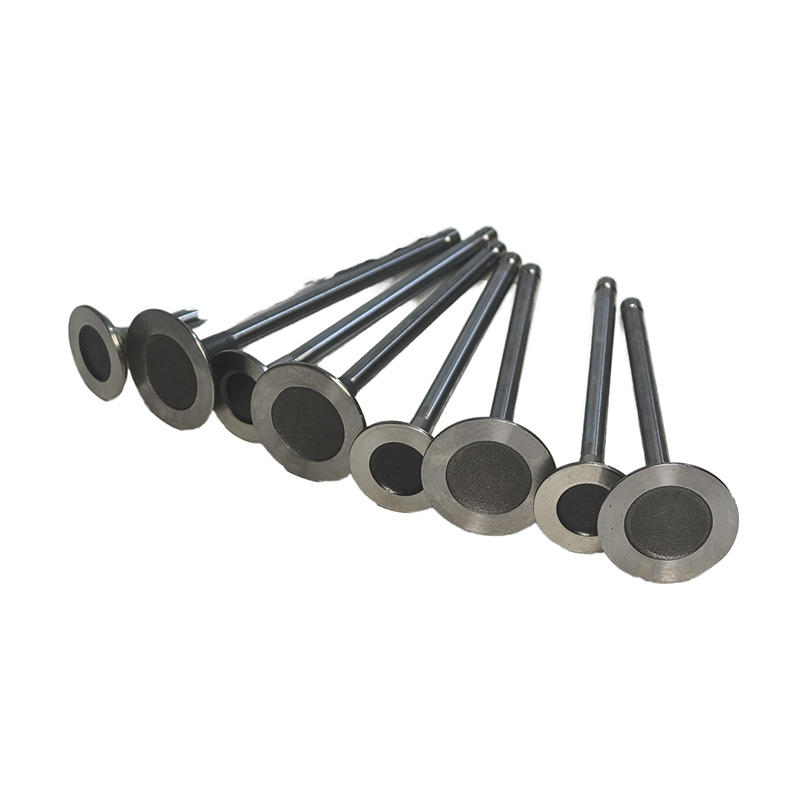 1.6vti Ec5 Engine Valves High Quality Intake (0948e0) Exhaust (0949c5) Set for Peugeot Citroën