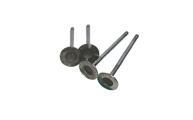 High Quality 1.8l Ec8 Engine Valves Intake (9673943580) Exhaust (9673943680) Set for Peugeot Citroen