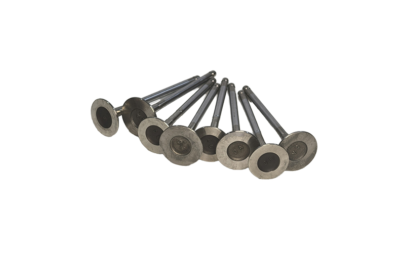 High Quality 1.8l Ec8 Engine Valves Intake (9673943580) Exhaust (9673943680) Set for Peugeot Citroen