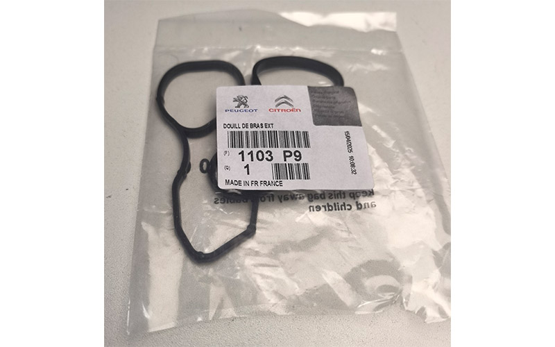 Oil Filter Housing Seal Kit (1103p9) for 1.6t Engine Peugeot Citroën