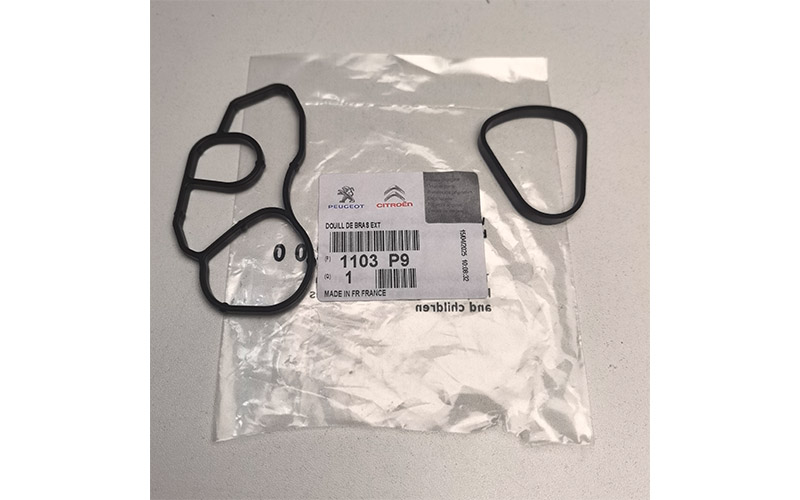 Oil Filter Housing Seal Kit (1103p9) for 1.6t Engine Peugeot Citroën