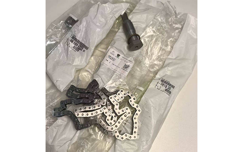 Revo 105389 Premium Timing Chain Kit for Citroën Peugeot Oe 11317533876 11314609483 9822827180