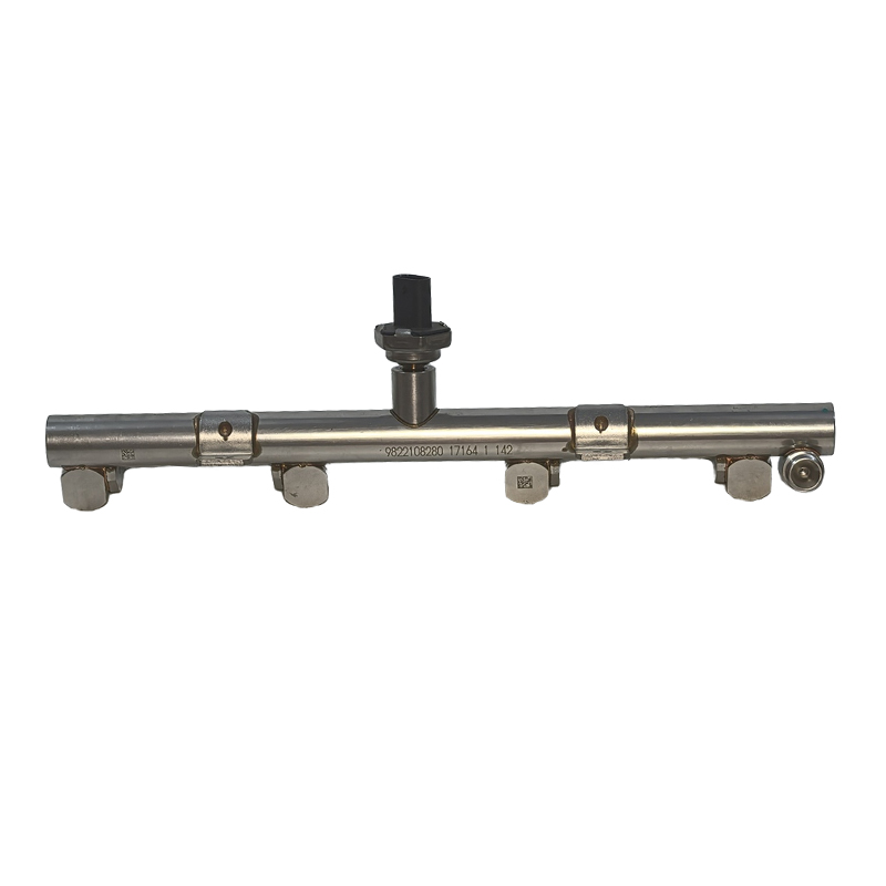 Oem 1.6t Fuel Nozzle Supply Rail (198544 / 9822108280) for Peugeot Citroën Vehicles